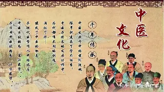 宁波桑拿终极指南：告别疲惫，解锁身心SPA新体验