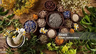 宁波按摩探店：这家店的环境，简直是疲惫都市人的绿洲！