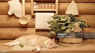 告别焦虑！宁波按摩新潮流：Z世代都在追捧的深度SPA，你还不来体验？ poster