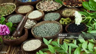 告别“蒸桑拿=老年人”刻板印象！宁波年轻人的养生新潮流：花式桑拿体验！